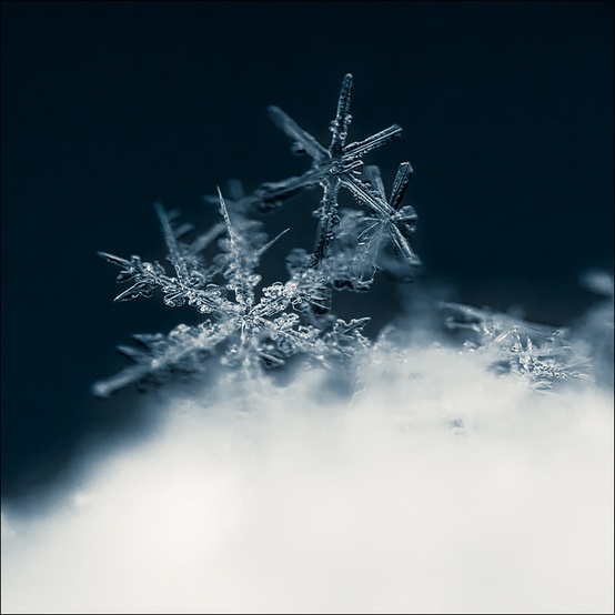 PFTW: Snowflake